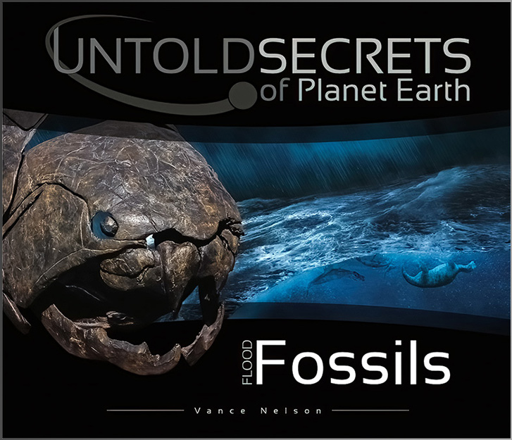 Flood Fossils (Untold Secrets)