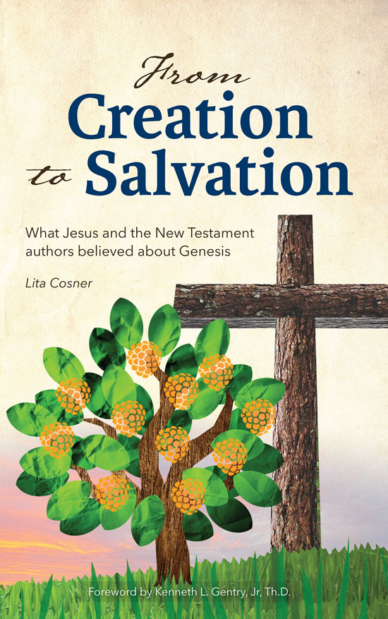 From Creation to Salvation