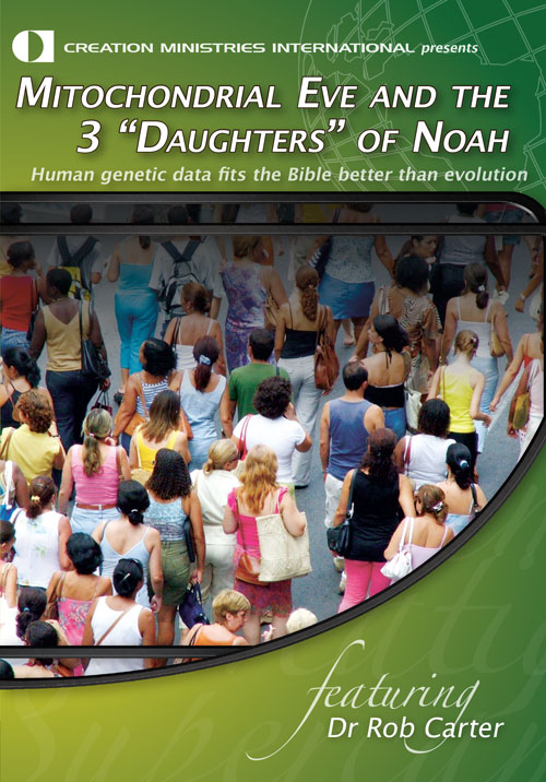 Mitochondrial Eve and the 3 