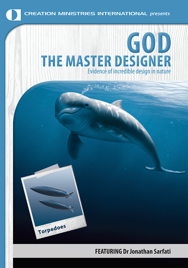 God the Master Designer