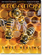 Creation Magazine Volume 37 Issue 1 Cover Creation Magazine Volume 37 Issue 1 Cover